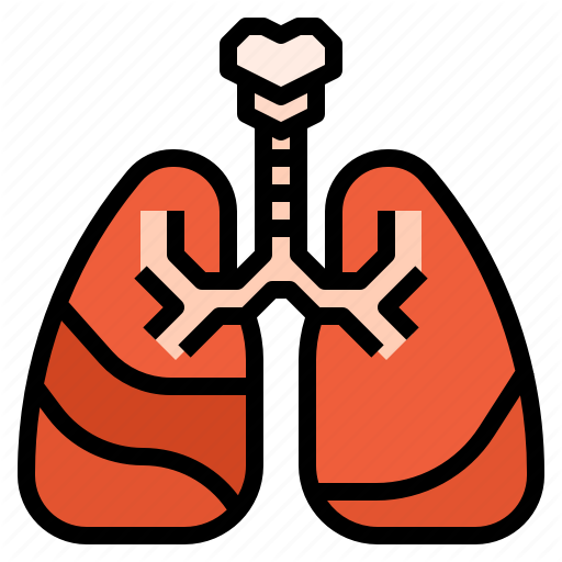 lung-health-medical-respiratory-512